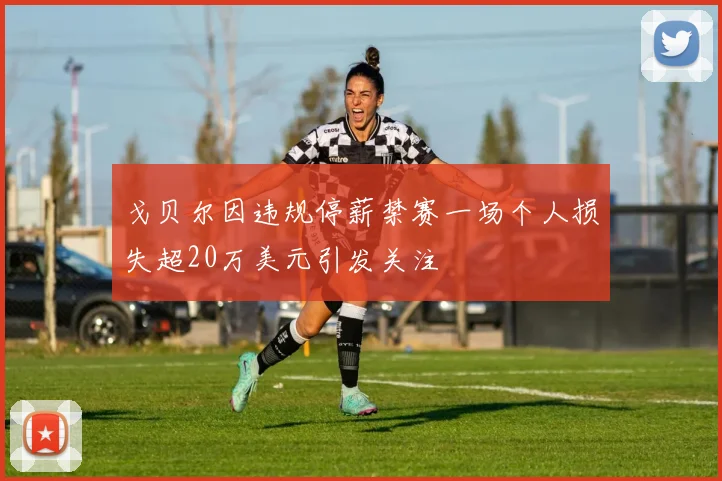 戈贝尔因违规停薪禁赛一场个人损失超20万美元引发关注